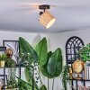 Bongal Plafonnier, Spot de plafond Noir, 1 lumière