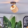 Bongal Plafonnier, Spot de plafond Noir, 1 lumière