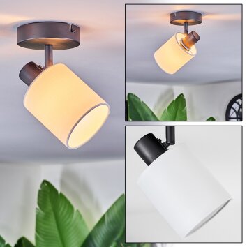 Fallhagen Plafonnier, Spot de plafond Noir, 1 lumière