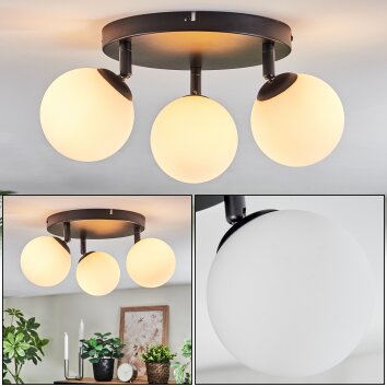 Chehalis Plafonnier, Boule lumineuse Blanc, 3 lumières