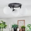 Chehalis Plafonnier, Boule lumineuse Blanc, 3 lumières