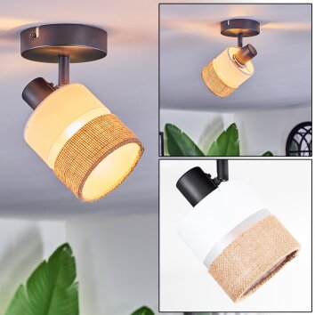 Fallhagen Plafonnier, Spot de plafond Noir, 1 lumière