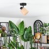 Lindberg Plafonnier, Spot de plafond Noir, 1 lumière