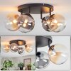 Chehalis Plafonnier, Boule lumineuse Ambre, Clair, Fumé, 4 lumières