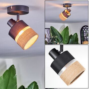 Fallhagen Plafonnier, Spot de plafond Noir, 1 lumière