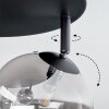 Chehalis Plafonnier, Boule lumineuse Fumé, 4 lumières