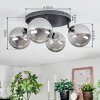Chehalis Plafonnier, Boule lumineuse Fumé, 4 lumières