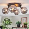 Chehalis Plafonnier, Boule lumineuse Fumé, 4 lumières