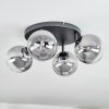 Chehalis Plafonnier, Boule lumineuse Clair, Fumé, 4 lumières Chehalis Plafonnier, Boule lumineuse Clair, Fumé, 4 lumières