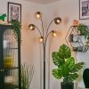 Koyoto Boule lumineuse, Lampadaire Ambre, Clair, Fumé, 5 lumières