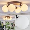 Chehalis Plafonnier, Boule lumineuse Blanc, 4 lumières