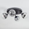 Chehalis Plafonnier, Boule lumineuse Clair, Fumé, 4 lumières