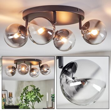 Chehalis Plafonnier, Boule lumineuse Clair, Fumé, 4 lumières