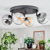 Chehalis Plafonnier, Boule lumineuse Ambre, Clair, Fumé, 4 lumières