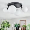 Chehalis Plafonnier, Boule lumineuse Blanc, 4 lumières