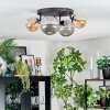 Chehalis Plafonnier, Boule lumineuse Ambre, Fumé, 4 lumières