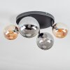 Chehalis Plafonnier, Boule lumineuse Ambre, Fumé, 4 lumières