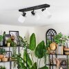Fallhagen Plafonnier, Spot de plafond Noir, 3 lumières