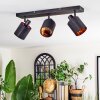 Fallhagen Plafonnier, Spot de plafond Noir, 3 lumières