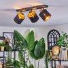 Alsen Plafonnier, Spot de plafond Noir, 3 lumières
