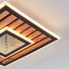Meron Plafonnier LED Couleur bois, Noir, 1 lumière