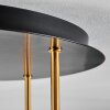 Koyoto Plafonnier, Boule lumineuse Laiton, Noir, 5 lumières