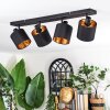 Alsen Plafonnier, Spot de plafond Noir, 4 lumières