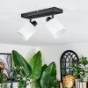 Fallhagen Plafonnier, Spot de plafond Noir, 2 lumières