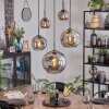 Ripoll Suspension, Boule lumineuse, Suspension Fumé, 5 lumières