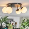 Chehalis Plafonnier, Boule lumineuse Blanc, 4 lumières