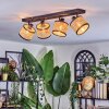 Ramila Plafonnier, Spot de plafond Noir, 4 lumières