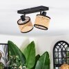 Ramila Plafonnier, Spot de plafond Noir, 2 lumières