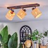 Cavaca Plafonnier, Spot de plafond Noir, 3 lumières