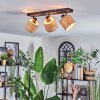 Bongal Plafonnier, Spot de plafond Noir, 3 lumières