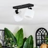Bassagoda Plafonnier, Spot de plafond Noir, 2 lumières