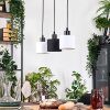 Bassagoda Suspension, Suspension Écru, Noir, 3 lumières