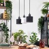 Bassagoda Suspension, Suspension Écru, Noir, 3 lumières