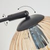 Koyoto Boule lumineuse, Lampadaire Ambre, Clair, 5 lumières