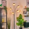 Koyoto Boule lumineuse, Lampadaire Ambre, Clair, 5 lumières