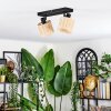 Cavaca Plafonnier, Spot de plafond Noir, 2 lumières