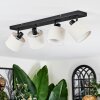 Bassagoda Plafonnier, Spot de plafond Noir, 4 lumières Bassagoda Plafonnier, Spot de plafond Noir, 4 lumières