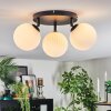 Chehalis Plafonnier, Boule lumineuse 25 cm Blanc, 3 lumières
