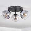 Ripoll Plafonnier, Boule lumineuse Clair, Fumé, 3 lumières