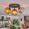 Ripoll Plafonnier, Boule lumineuse Or, Clair, Cuivré, Fumé, 3 lumières