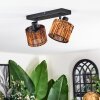 Cando Plafonnier, Spot de plafond Noir, 2 lumières