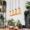 Lindberg Suspension, Suspension Écru, Noir, 4 lumières