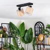 Bongal Plafonnier, Spot de plafond Noir, 2 lumières