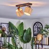 Bongal Plafonnier, Spot de plafond Noir, 2 lumières
