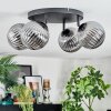 Chehalis Plafonnier, Boule lumineuse Fumé, 4 lumières