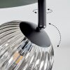 Chehalis Plafonnier, Boule lumineuse Ambre, Fumé, 4 lumières